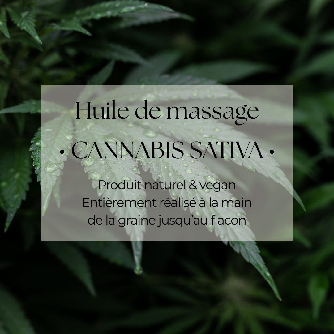 Huile de massage Pu*** j'ai mal - 30ml