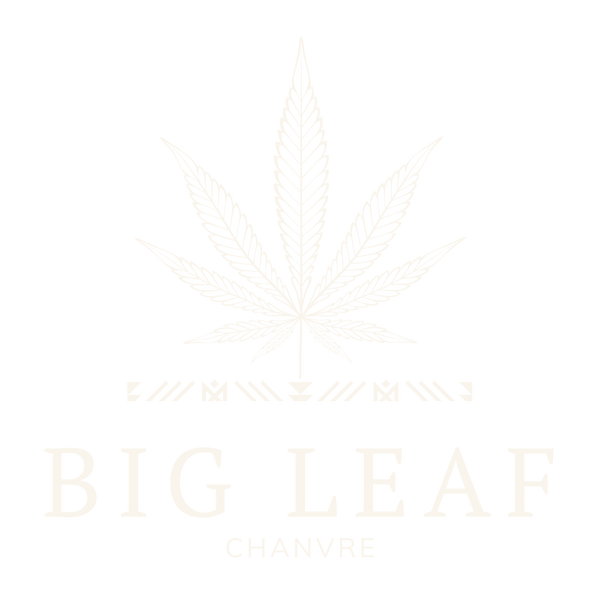 BIG LEAF